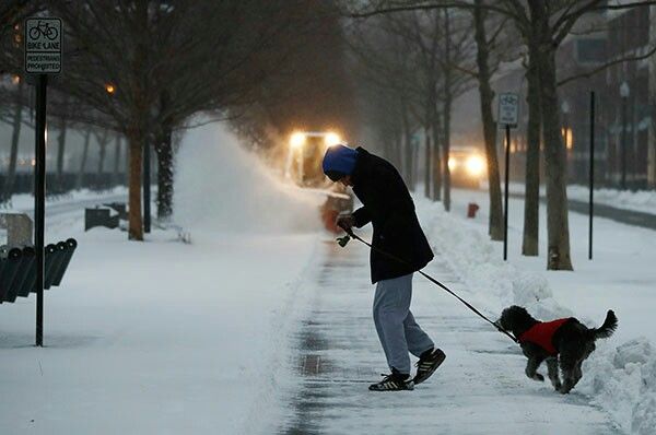 Dog being walked during winter storm, showing the risks of snow and freezing temperatures for pets.