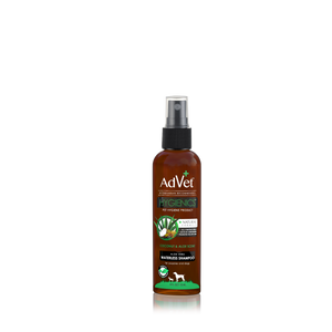 Aloe Vera Waterless Shampoo Spray