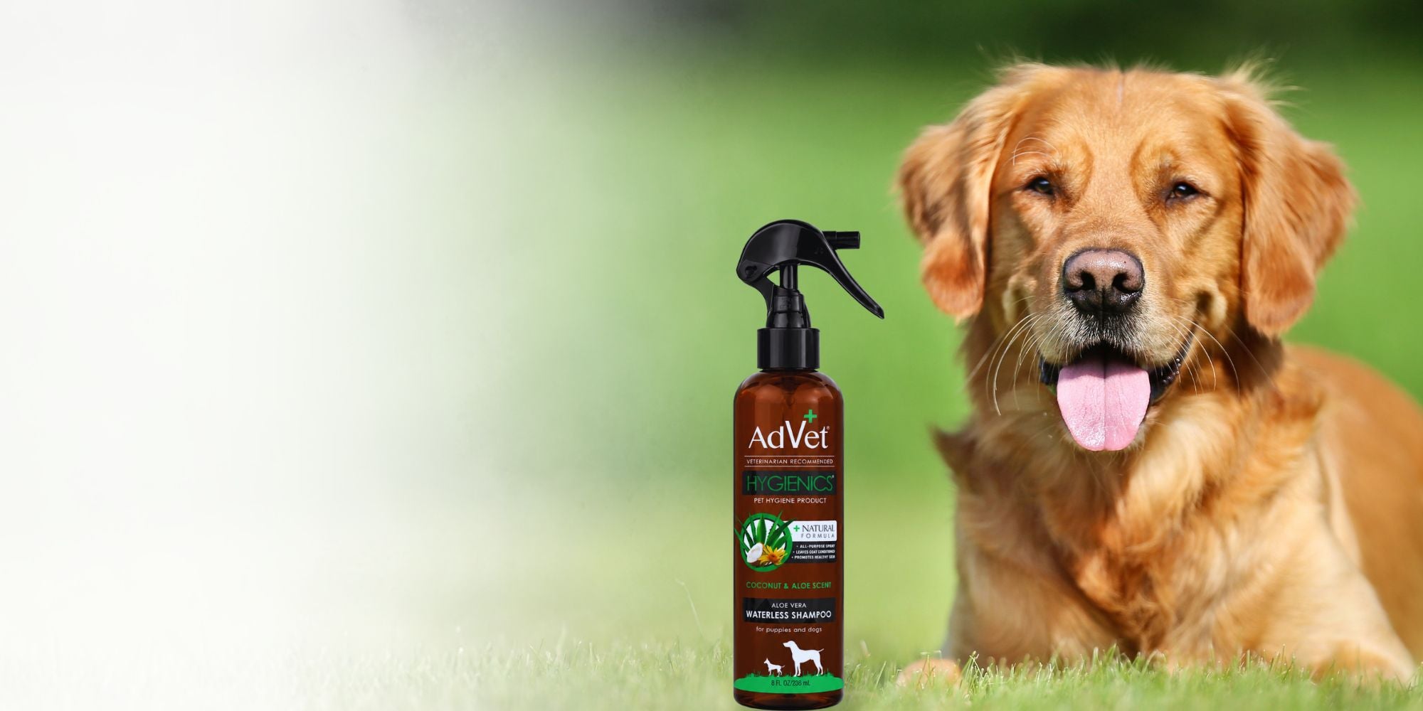 A golden retriever dog lying on grass next to a brown spray bottle labeled AdVet, with a soft green outdoor background.
