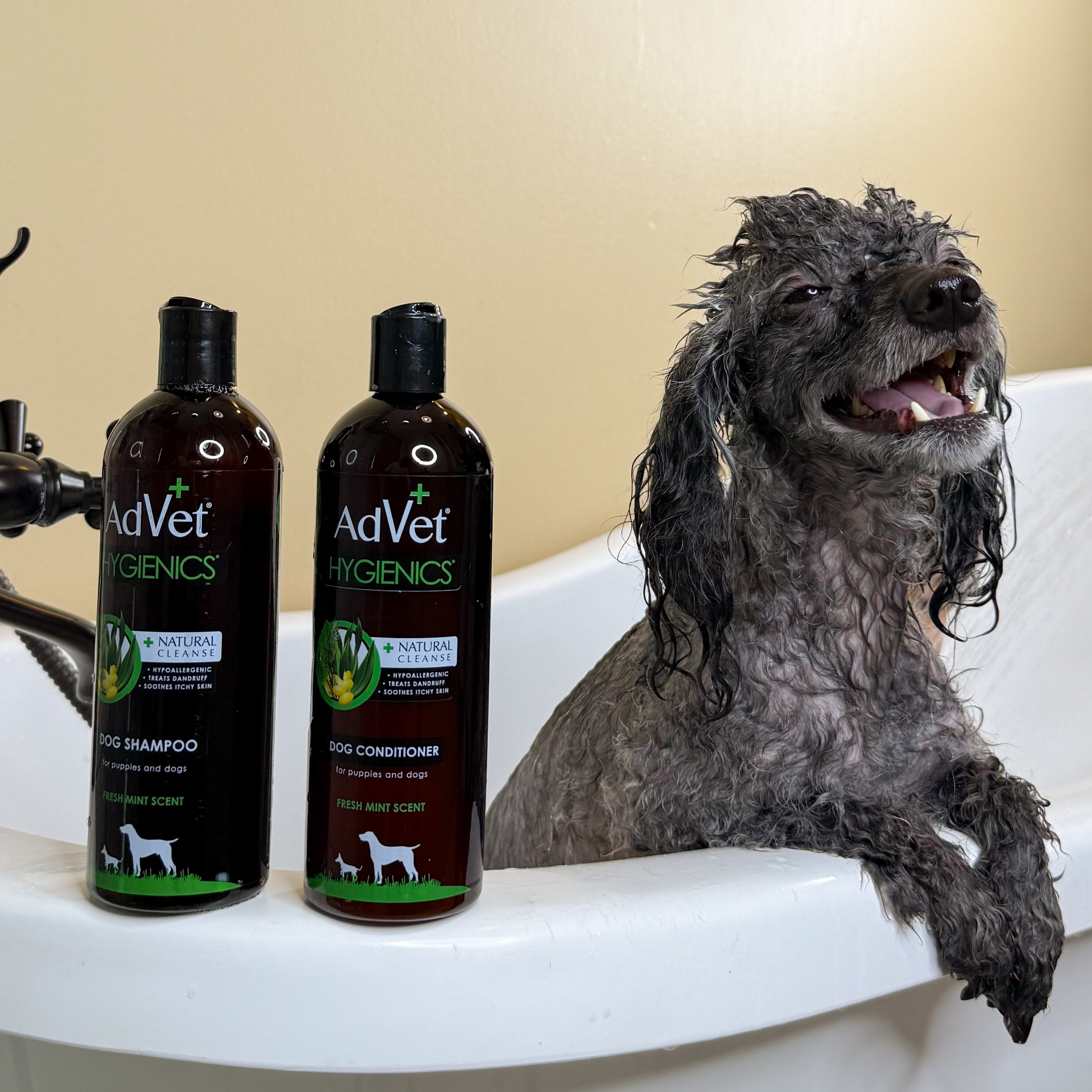 Dog in a bathtub with AdVet Hygienics shampoo and conditioner bottles.