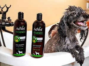 16oz Natural Cleanse Shampoo & 16oz Natural Cleanse Conditioner